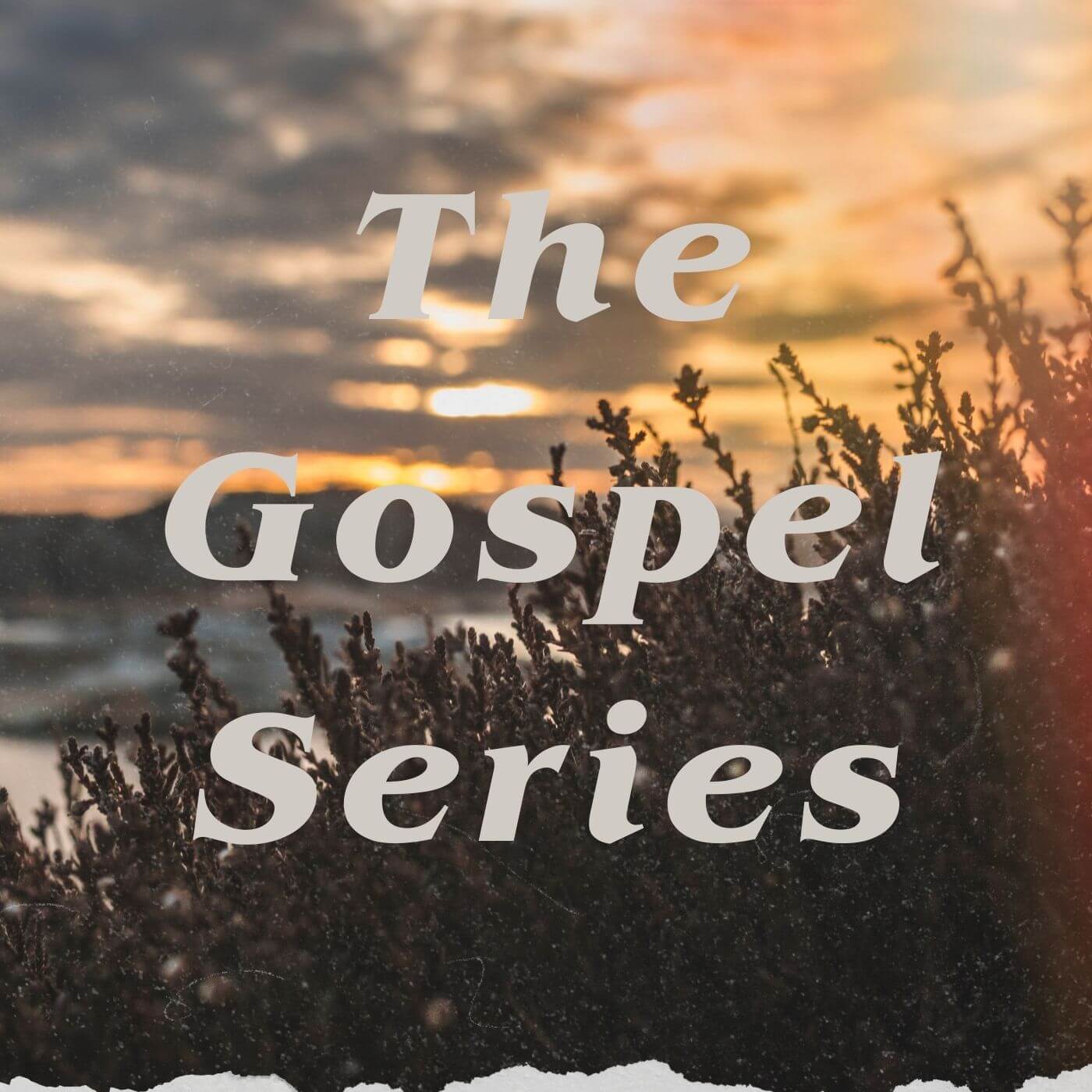 The Gospel Series