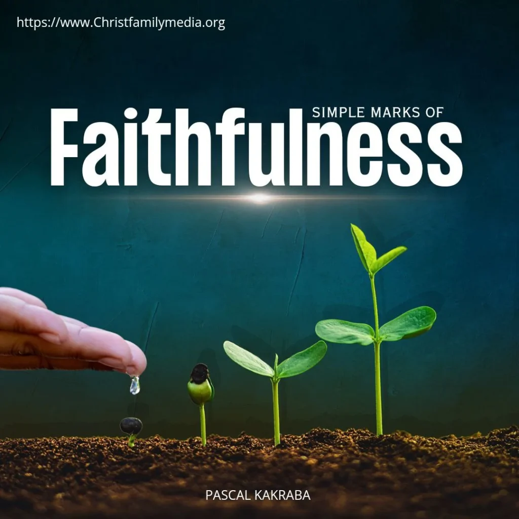 Simple Marks of Faithfulness