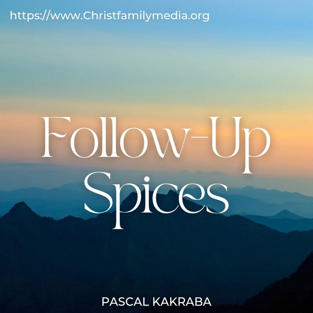 Follow-Up Spices